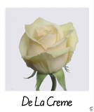 de la Creme